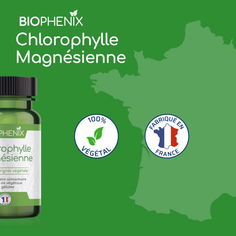 Chlorophylle Magnésienne
