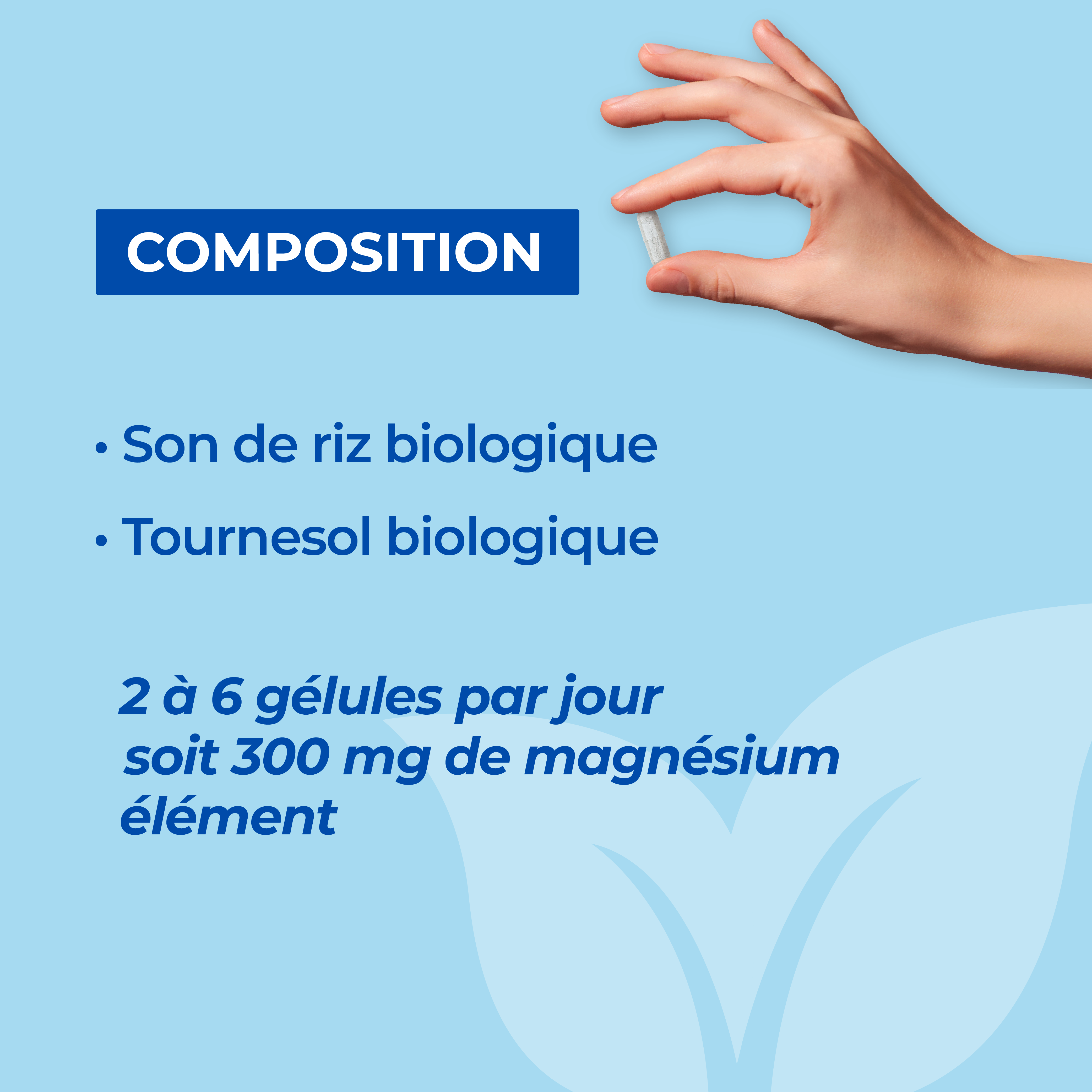Magnésium