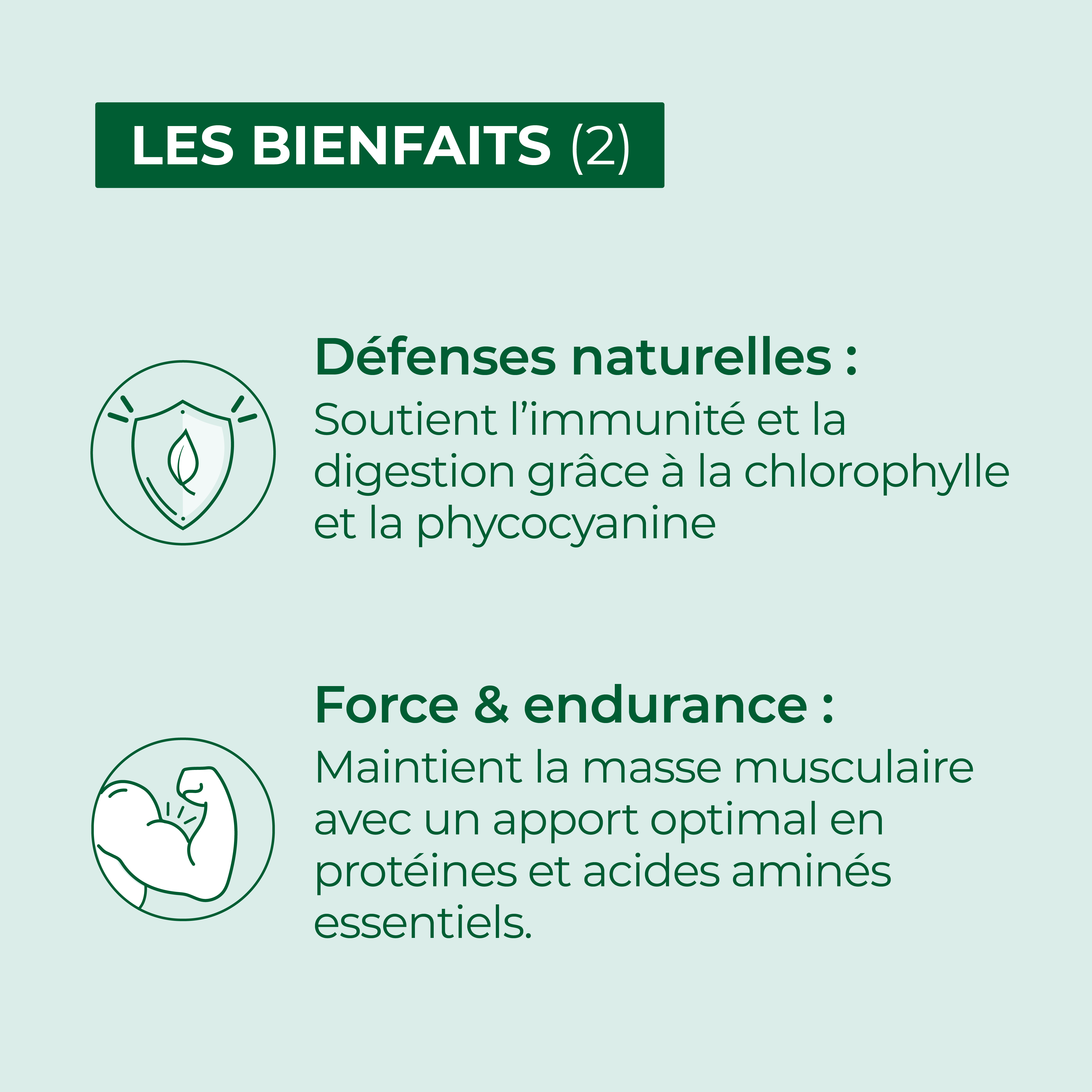 Spiruline